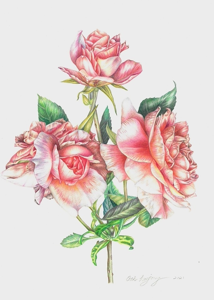 장미3